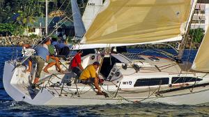 Sailboats Racing