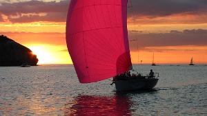 red sail in the sunset