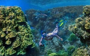 Snorkler wearing camouflage and shark Snorkler wearing camouflage and shark Ilot Mato, New Caledonia